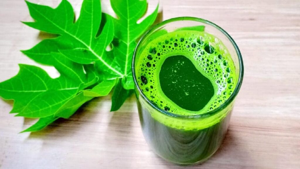 पपीते के पत्तों का जूस